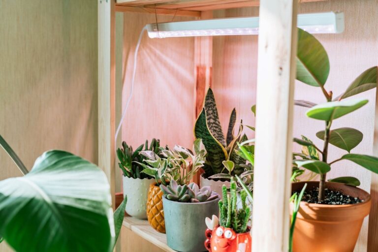 Grow light on shelving containing indoor garden plants