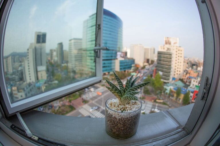 High-rise porthole window with aloe vera pot on ledge
