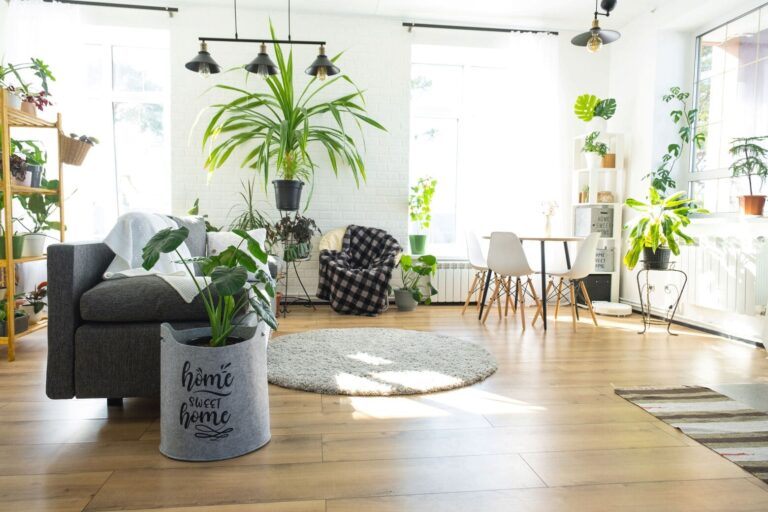 Spacious, brightly lit room with houseplants