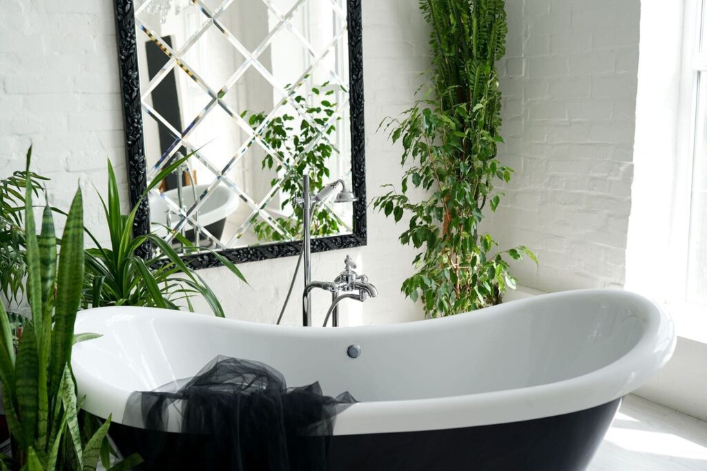Bathtub surrounded by plants, including Sansevieria and Ficus benjamina