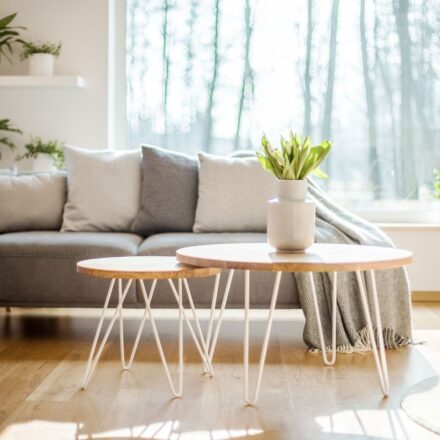 Brightly lit living room with large bay window and thriving houseplants