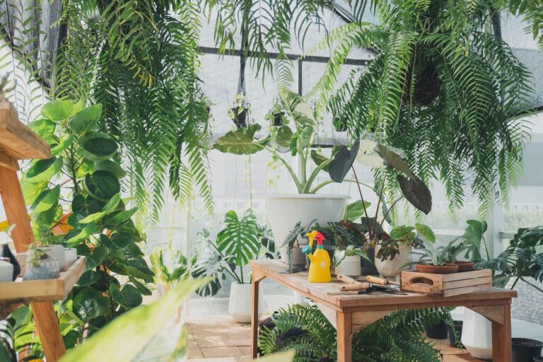 Room with floor to ceiling windows and multiple plants, including hanging ferns