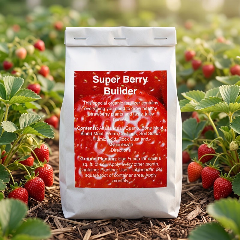 Super Berry Builder