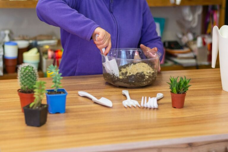 Woman mixing horticultural sand into potting soil in preparation of planting succulents and cactus, also pictured