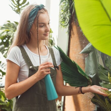 Young woman spraying rare houseplants with water in a well-lit home