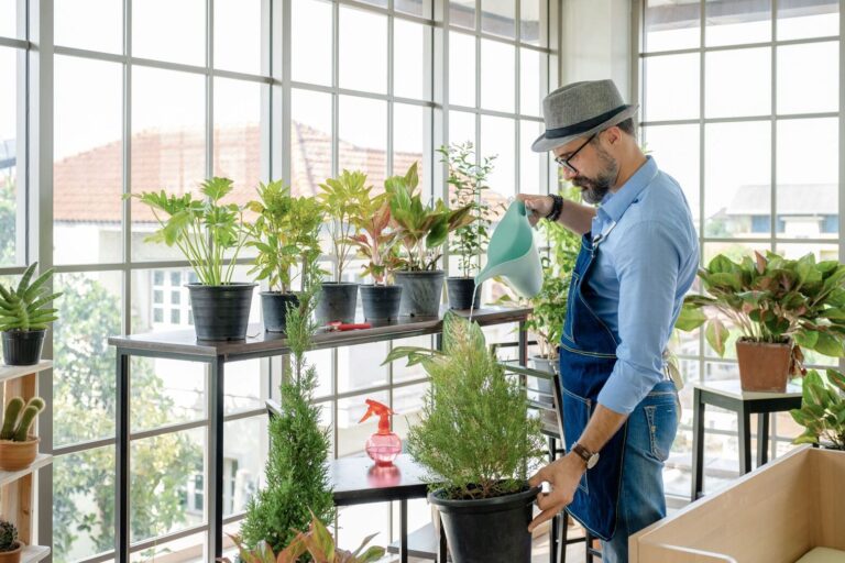 Man waters collection of houseplants next to floor-to-ceiling windows in brightly lit room