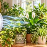 Why Air Circulation Is Important for Healthy Houseplants