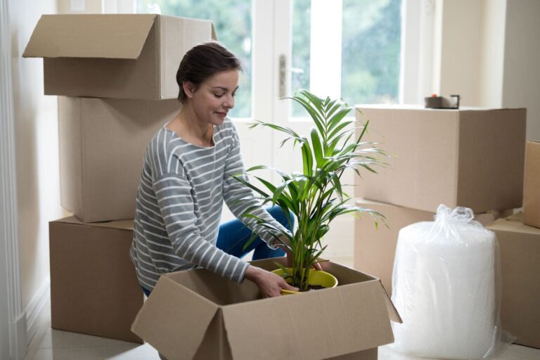 Woman packing a small palm into a box for moving