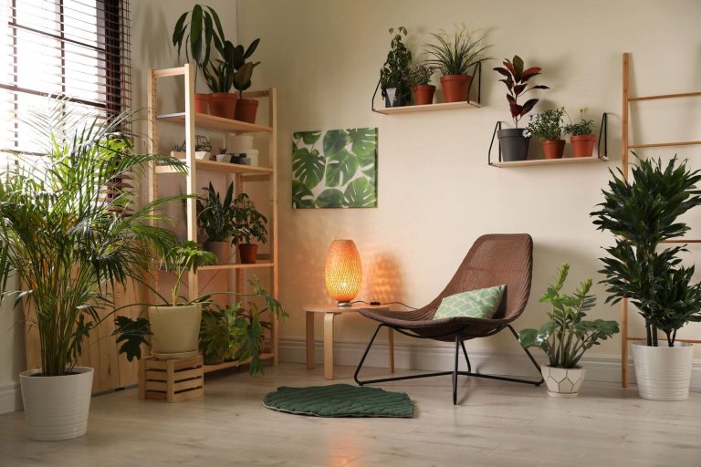 stylish-living-room-interior-with-home-plants